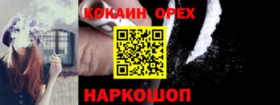 гашик Ливны