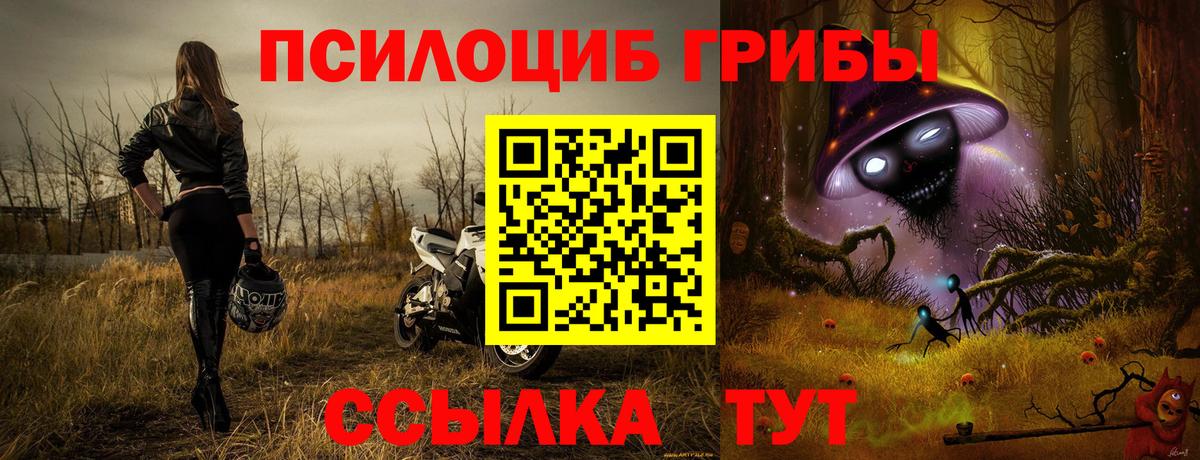 Псилоцибиновые грибы MAGIC MUSHROOMS  Вход с VPN  где найти наркотики  Кандалакша 